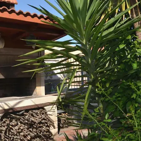 Garden House 2 Daire